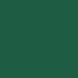 DUNI GO Serviet 3-lag 24x24 cm Mørkegrøn 2000 stk (168417)